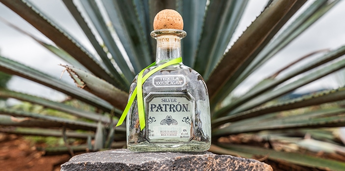 ¿Cómo obtiene Patrón su sabor y color?