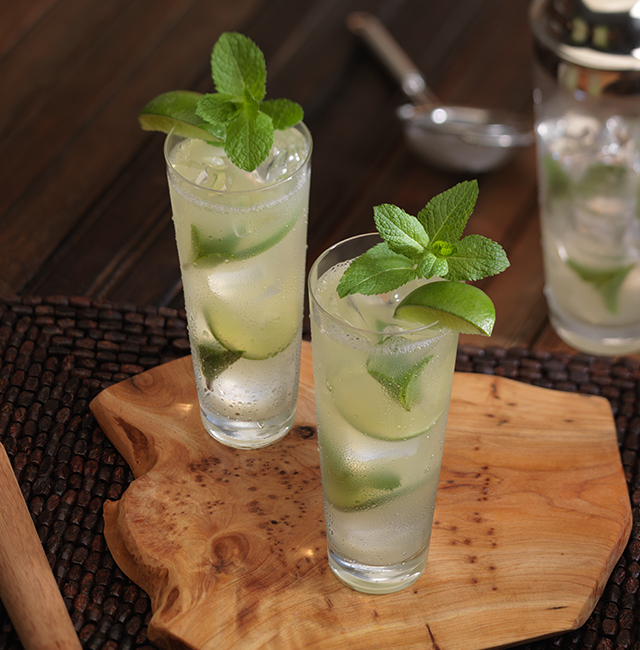 Receta para Cóctel Patrón Mojito | Patrón Tequila