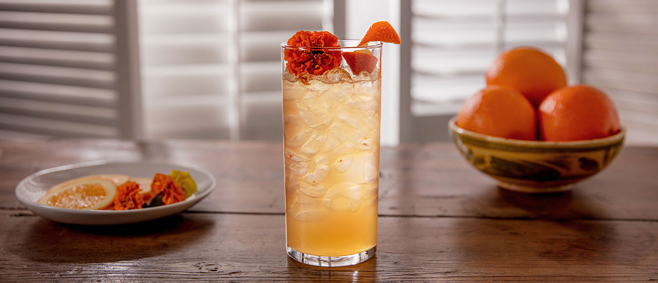 PATRÓN Reposado