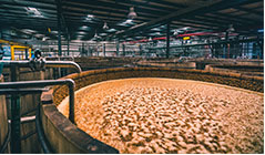 Large vat of agave juice in a factory.