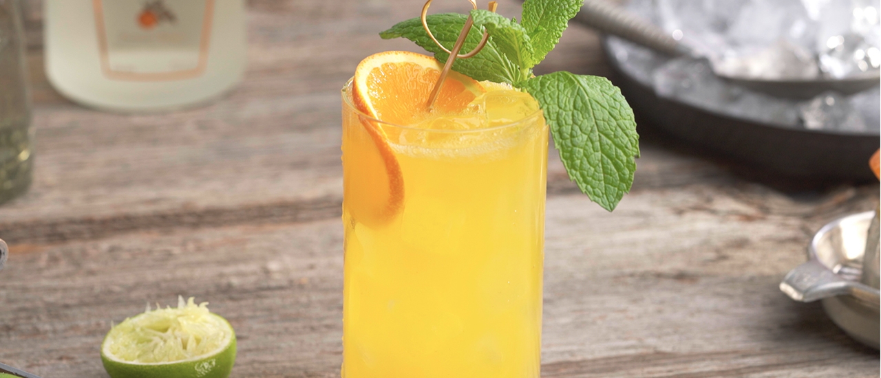 Orange Mint Cooler Cocktail Recipe Patrón Tequila