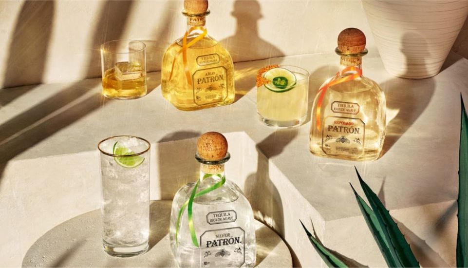 A Guide to Agave Liquors | PATRN TEQUILA