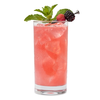 Wild Berry Mojito