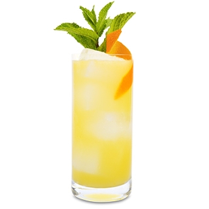 Orange Mint Cooler