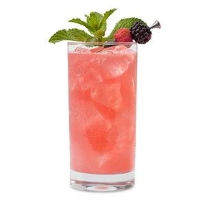 Wild Berry Mojito