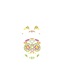 Patrón Tequila