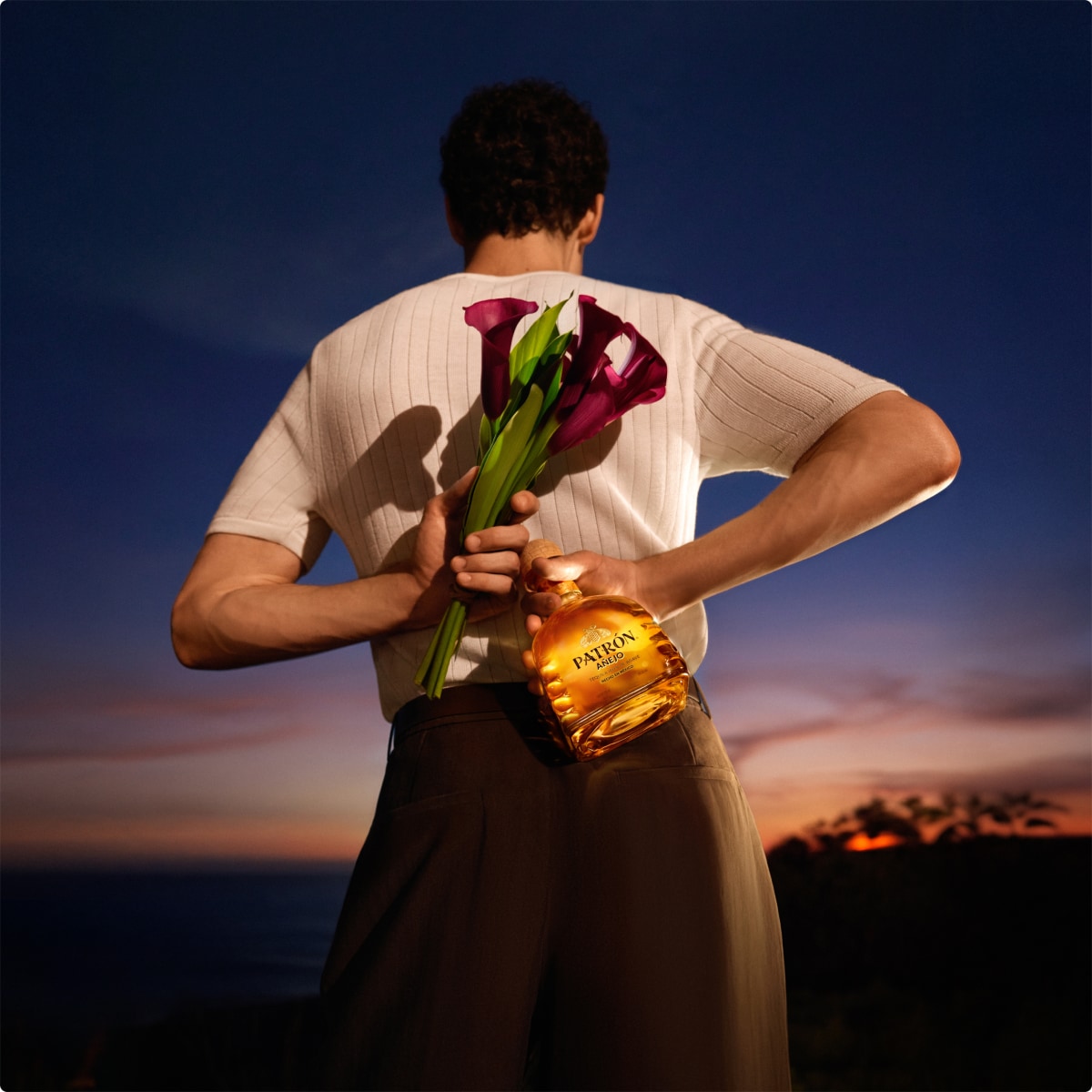 Patrón Añejo Tequila in barrels being aged for at least one year.